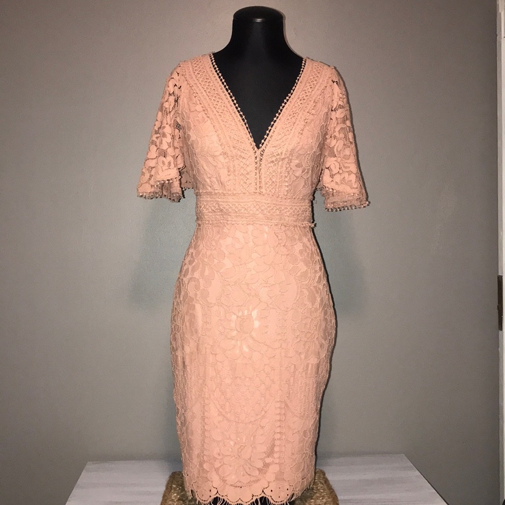 Elegant Blush Lace Dress
